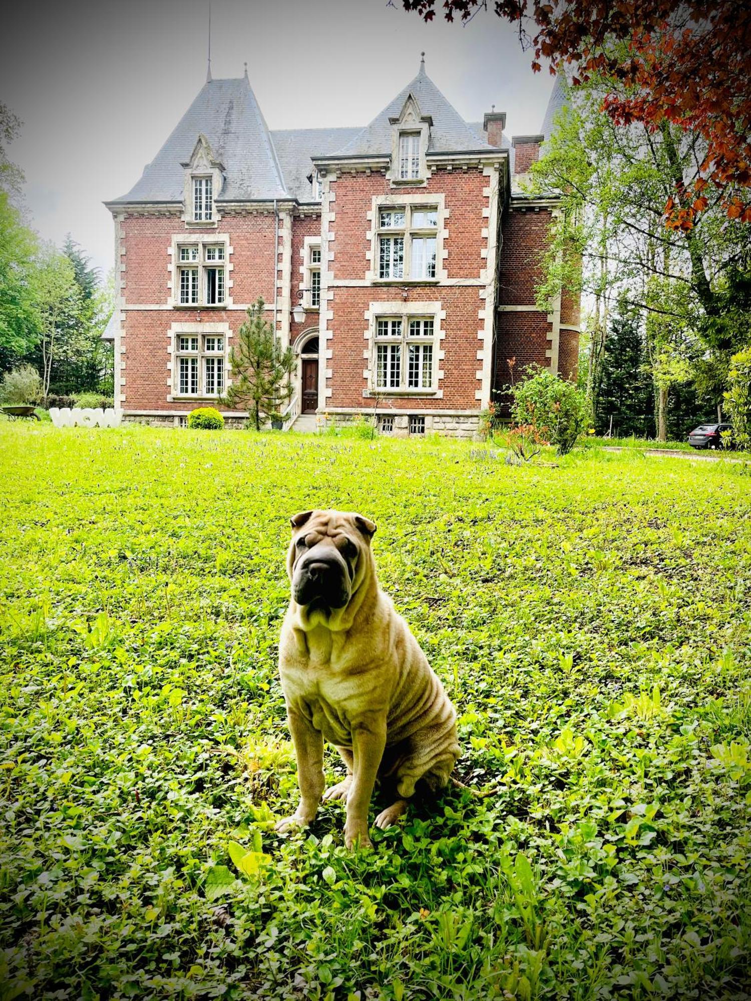Poix-Terron Domaine De La Croix De Saint Lambert B&B 외부 사진